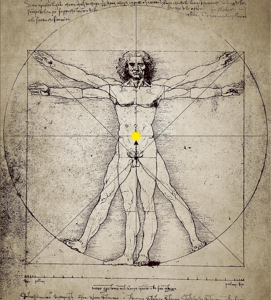 Vitruvian man - ořez - osy & středy & šipka PH2